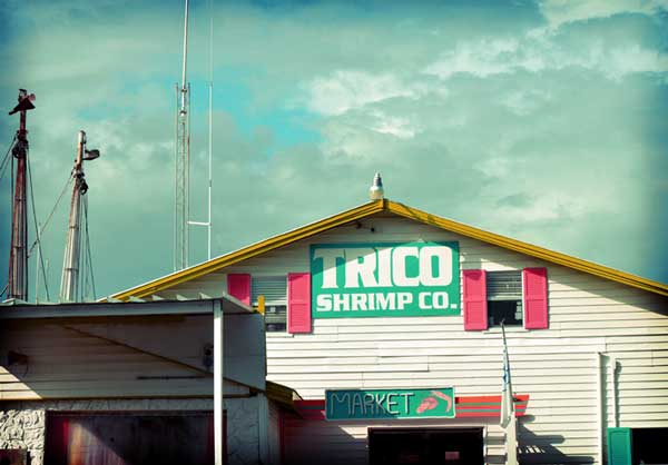 Trico Shrimp Company Ft Myers Beach