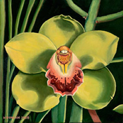 green cymbidium orchid