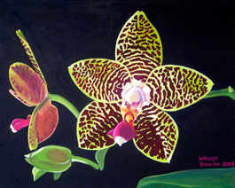 Phalaenopsis Orchid  Painting